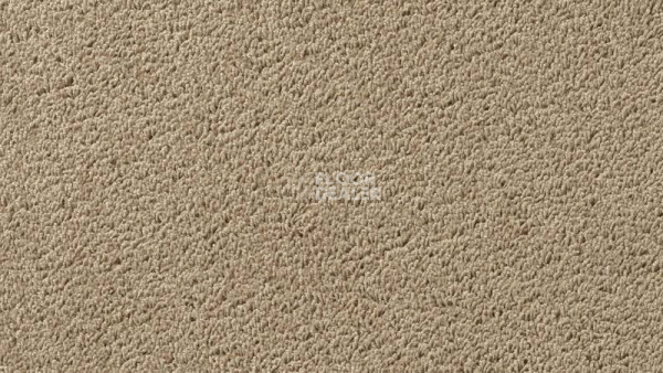 Ковролин Vorwerk Passion 1003 Vorwerk 8h98 фото 1 | FLOORDEALER