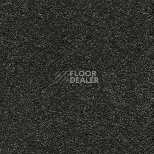 Ковролин AW VivendiI Aaura 98 фото 1 | FLOORDEALER