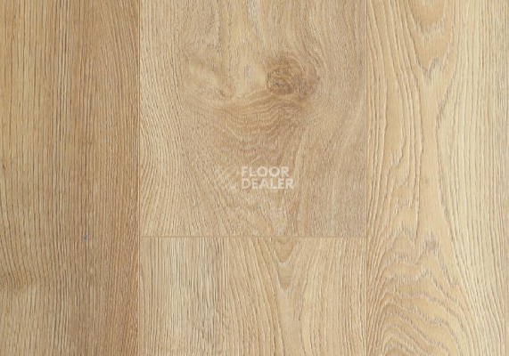Ламинат My Floor Residence 10мм ML1008 Дуб Макро Натуральный фото 1 | FLOORDEALER