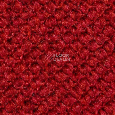 Ковролин Carpet Concept Eco Cut 10094 фото 1 | FLOORDEALER