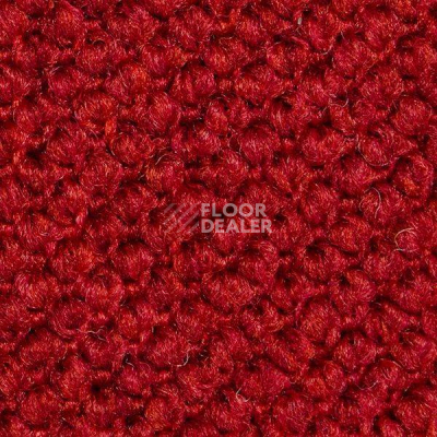 Ковролин Carpet Concept Eco Cut 10094 фото 1 | FLOORDEALER