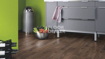 Kronotex Robusto 12мм d3590 Дуб Таймлесс фото 3 | FLOORDEALER