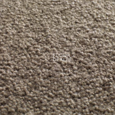 Ковролин Jacaranda Carpets Tapanui Taupe фото 1 | FLOORDEALER