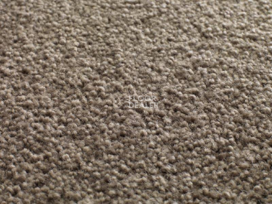 Ковролин Jacaranda Carpets Tapanui Taupe фото 1 | FLOORDEALER