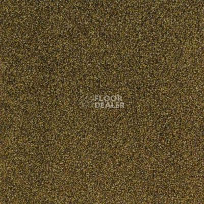 Ковровая плитка Desso Arcade Arcade B023 2017 фото 1 | FLOORDEALER