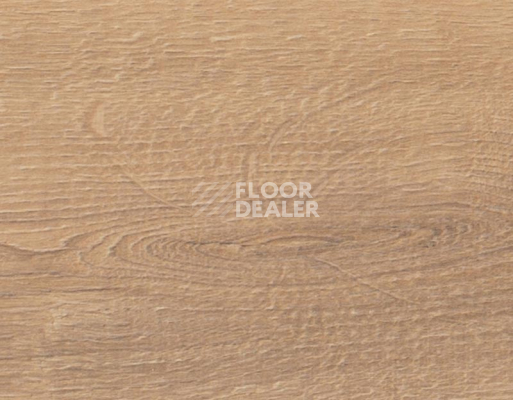 Ламинат Rooms Loft 10мм R1019A Дуб Кашмир фото 2 | FLOORDEALER