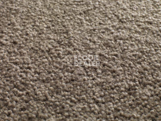 Ковролин Jacaranda Carpets Tapanui Taupe фото 1 | FLOORDEALER