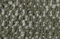 Galaxy F 069 фото 4 | FLOORDEALER