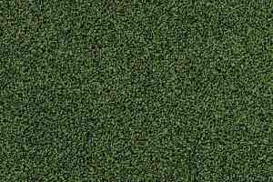 Ковровая плитка Desso Torso 7863 фото  | FLOORDEALER