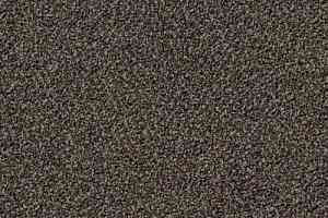 Ковровая плитка Desso Torso 9104 фото  | FLOORDEALER