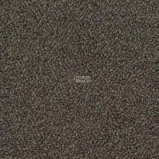 Desso Torso 9104 фото 1 | FLOORDEALER