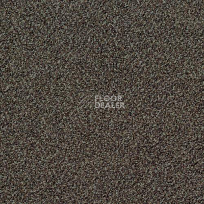 Ковровая плитка Desso Torso 9104 фото 1 | FLOORDEALER