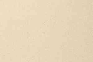 Ковролин Vorwerk Passion 1000/Modena Vorwerk 6a68 фото  | FLOORDEALER