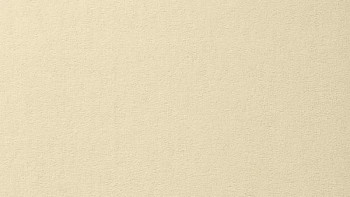 Ковролин Vorwerk Passion 1000/Modena Vorwerk 6a68 фото 1 | FLOORDEALER