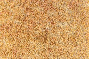 Flotex Colour s 290008 Calgary Saffron фото 2 | FLOORDEALER