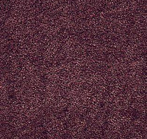 Ковролин AW Radiant 19 фото 1 | FLOORDEALER