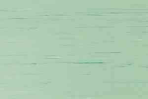 Линолеум Lino Fatra Garis 743 фото  | FLOORDEALER