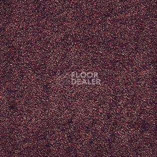 Ковролин AW Radiant 19 фото 1 | FLOORDEALER