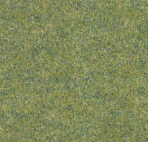 Ковролин Forbo Forte 96008 Field фото 1 | FLOORDEALER