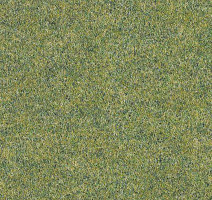 Ковролин Forbo Forte 96008 Field фото 1 | FLOORDEALER