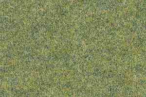 Ковролин Forbo Forte 96008 Field фото  | FLOORDEALER