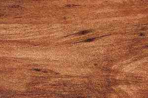 Линолеум Novoflor Extra Styl 4800-13 фото  | FLOORDEALER