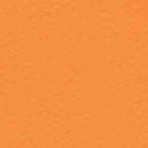 Линолеум RECREATION 60 UNI 6160_Naranja фото ##numphoto## | FLOORDEALER