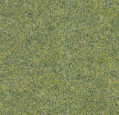 Ковролин Forbo Forte 96008 Field фото 1 | FLOORDEALER