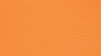 Recreation 60 Uni 6160_Naranja фото 1 | FLOORDEALER