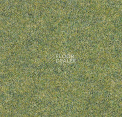 Ковролин Forbo Forte 96008 Field фото 1 | FLOORDEALER