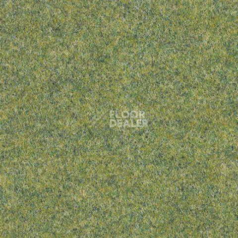Ковролин Forbo Forte 96008 Field фото 1 | FLOORDEALER