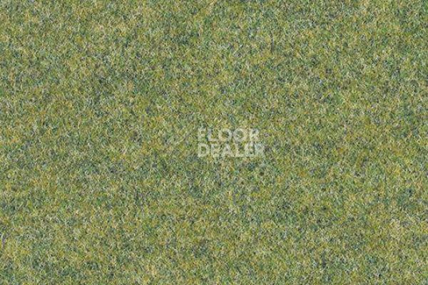 Ковролин Forbo Forte 96008 field фото 1 | FLOORDEALER