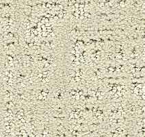 Ковролин Balsan Tao 605 фото 1 | FLOORDEALER