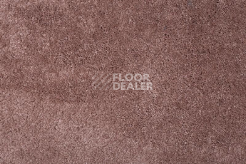 Ковролин Condor Julia 10 фото 1 | FLOORDEALER