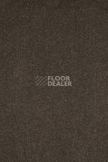 Ковролин AW Masquerade Moretta 49 фото 1 | FLOORDEALER