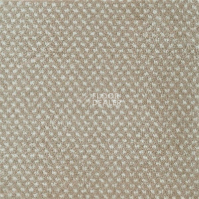 Ковролин Sintelon Podium 01313 фото 1 | FLOORDEALER