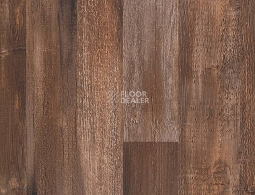 Линолеум Grabo Terrana 22 4309-267-4 фото 1 | FLOORDEALER