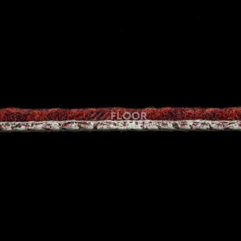 Haima Coral 36 фото 4 | FLOORDEALER