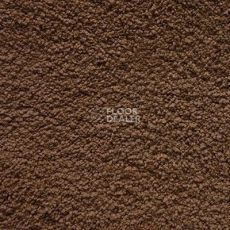 Ковролин Shaw Cashmere IV 707 фото 1 | FLOORDEALER