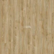 Next Acoustic дерево VALLEY OAK 240 BO фото 1 | FLOORDEALER
