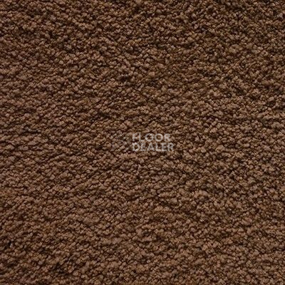 Ковролин Shaw Cashmere IV 707 фото 1 | FLOORDEALER