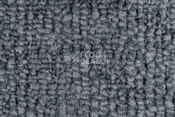 IVC Animate 559 фото 3 | FLOORDEALER