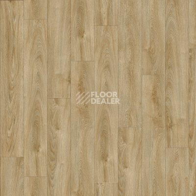 Кварцвиниловые полы Next Acoustic дерево VALLEY OAK 240 BO фото 1 | FLOORDEALER