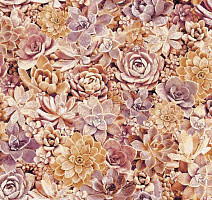 Ковролин Halbmond Pure Elements 13842 фото 1 | FLOORDEALER