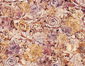 Halbmond Pure Elements 13842 фото 1 | FLOORDEALER