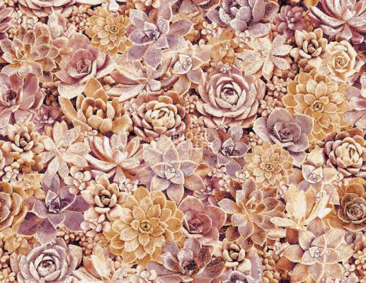 Ковролин Halbmond Pure Elements 13842 фото 1 | FLOORDEALER