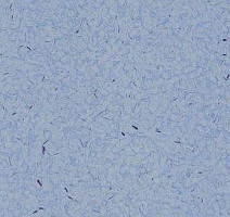 Кварцвиниловые полы Lino Fatra Elektrostatik A 9004 фото 1 | FLOORDEALER