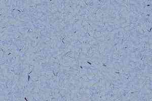 Кварцвиниловые полы Lino Fatra Elektrostatik A 9004 фото  | FLOORDEALER