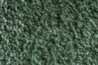 AW Masquerade Fedone 24 фото 2 | FLOORDEALER