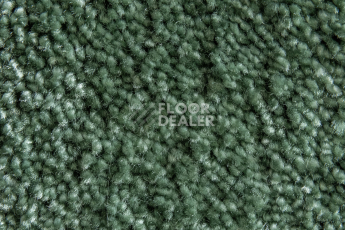 AW Masquerade Fedone / Федонэ 24 фото 2 | FLOORDEALER